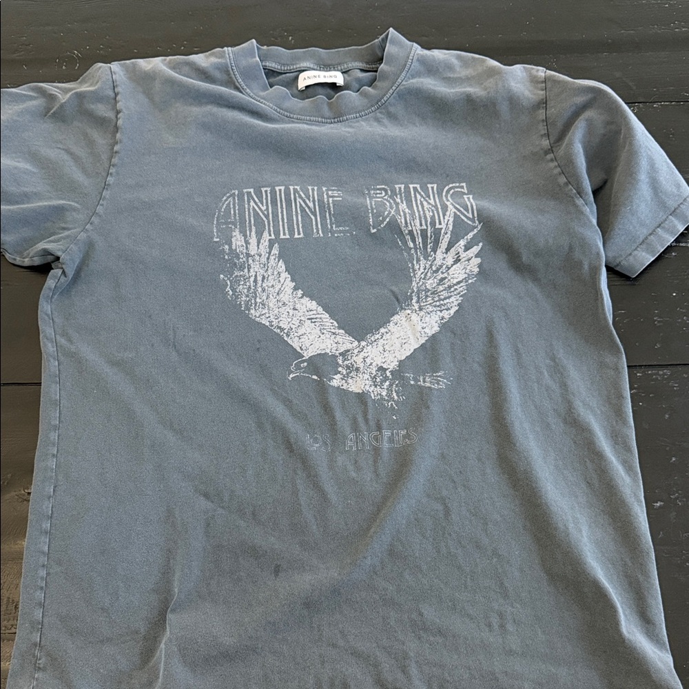 Anine Bing Slate Blue Eagle Vintage Tee